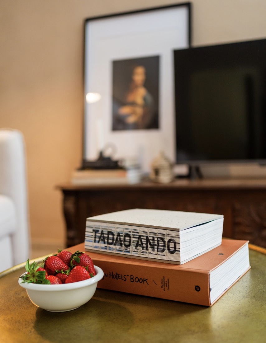 rovinj studio apartment rent books